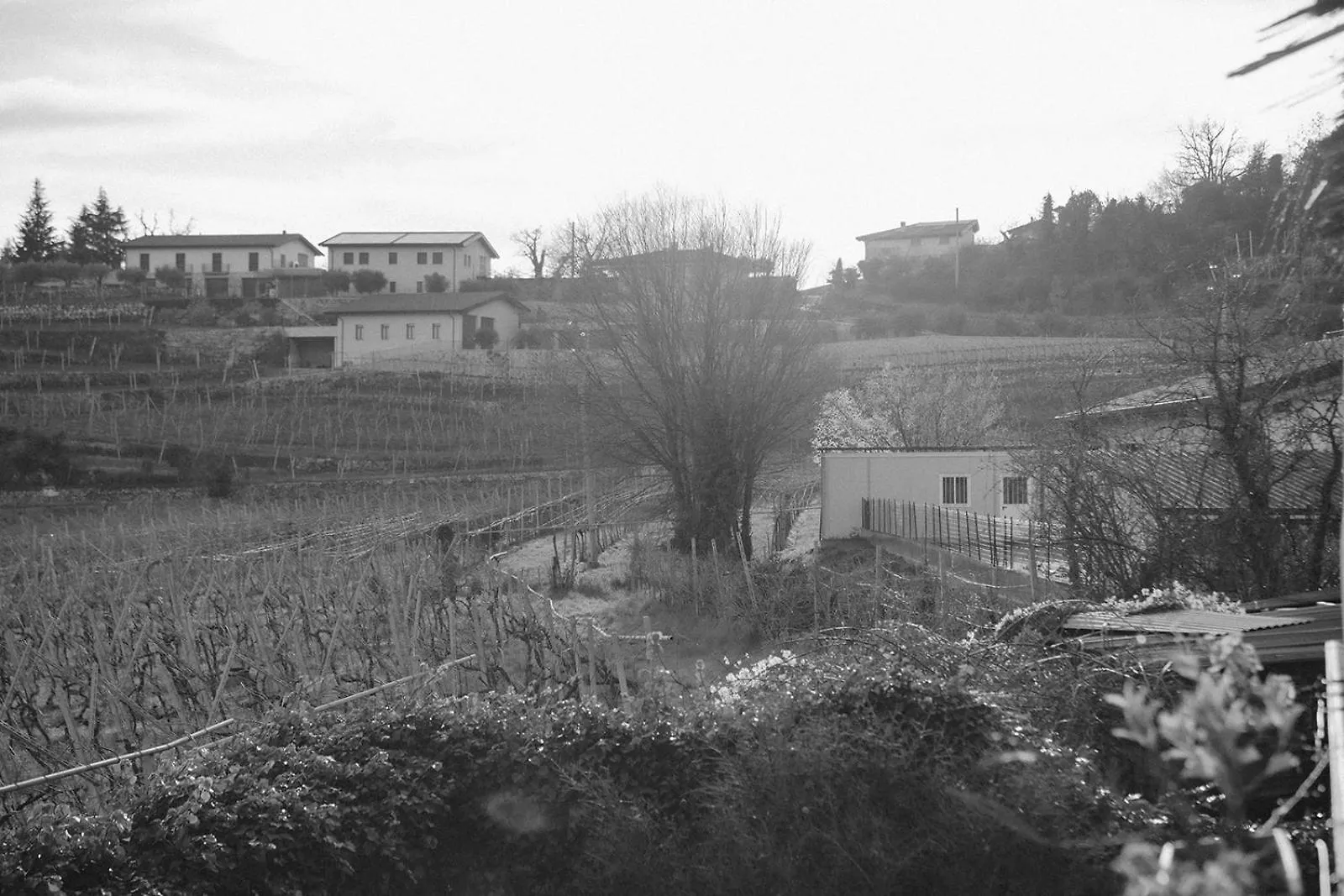 Dimora Valverde B&B Marano di Valpolicella 0*,  Italy
